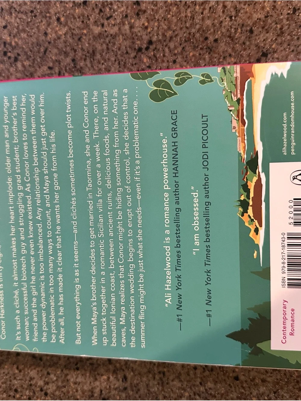 Problematic Summer Romance — Pink & Teal Book Cover